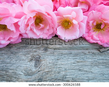 Pink curly roses bouquet on the old weathered wooden board