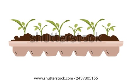 Vegetable seedlings growing at soil in pot. Green sprouts of plant. Gardening outdoor. Young seedling in ground. Caring for nature and ecology. Sustainable natural resources. Vector flat illustration.