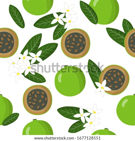 Vector cartoon seamless pattern with Aliberia exotic fruits, flowers and leafs on white background for web, print, cloth texture or wallpaper.