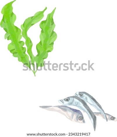 Watercolor vector illustration of wakame seaweed and dried sardines