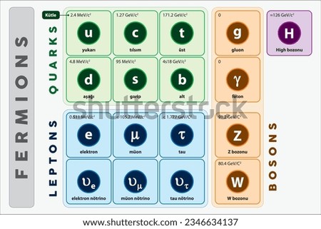 The standard model of physics. In the physics of elementary particles, bosons of all elementary particles, electromagnetic and strong interaction. Physics fermion, quark, lepton, boson.