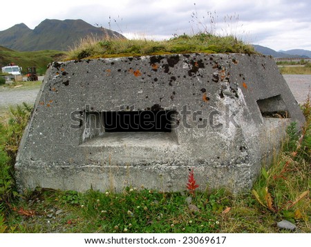 WW2 Relics in Dutch Harbor, Alaska - Grass and lichen covered pill box