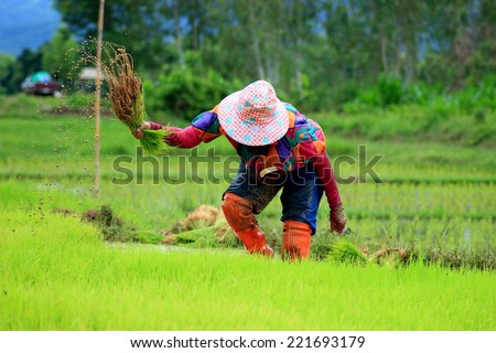 Farmer is a profession, the majority of people in the profession.