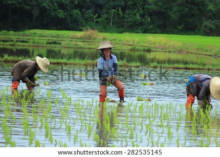 Farmers are the main occupation of the majority of the rural people in the country. Every household will help the rice to be sold to finance consumption spending. In August 2014 -6