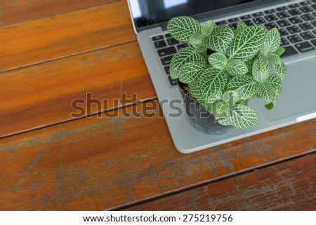 Business office and computer and tree