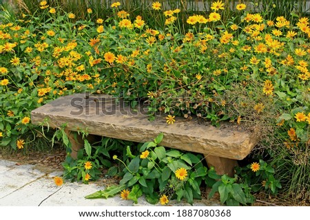 Yellow daisies surrounding a stone bench in the summer at Osceola, Wisconsin. ストックフォト © 