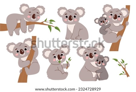 Cute koala on branch set. Tropical and exotic adorable animals. Asian fauna and wild life. Biology and zoology. Mother with kid. Cartoon flat vector collection isolated on white background
