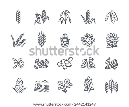 Set of cereals linear icons. Editable Stroke Signs. Ears of wheat, millet, buckwheat, rice, proso and barley. Agriculture and farming. Outline simple vector collection isolated on white background