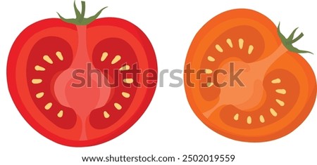 Half tomatoes, tomato slice. Half tomato Vector illustration. Fresh red tomato