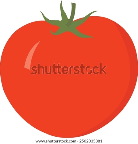 Ripe tomato, vegetarian organic food, fresh whole tomato vegetables, healthy nutrition food. Red tomatoes. Food concept