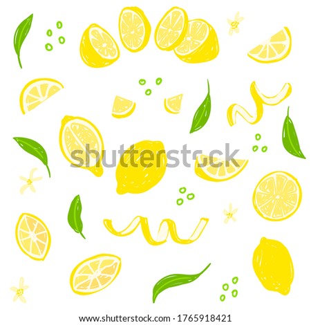 Lemon hand drawn vector illustration set. Whole, sliced, cut lemon, peel, leaves. Design template