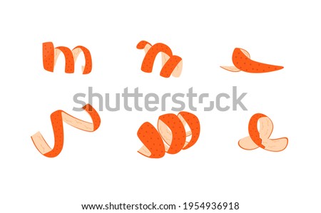Set of orange fruit peel. Collection of tangerine zest for cocktails. Collection of Ribbon cut citrus peel. Mandarin, lemon, grapefruit or kumquat skin. Vector illustration on white background.
