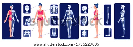 A skeletal system visual aid. X-ray examination pictures. Image of the human skeleton bones. Internal anatomy of a woman. Full-length roentgen. 商業照片 © 
