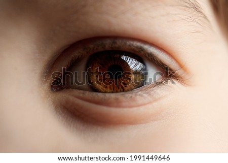 Similar – Image, Stock Photo eye Eyes Brown Light