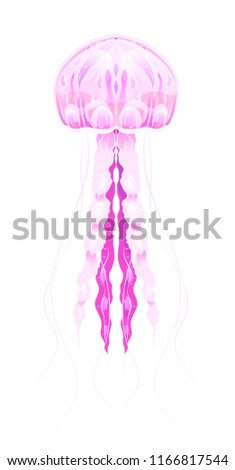 Colorful illustration of neon jellyfish. The object is separate from the background. Illustration for printing on T-shirts, covers, sketches of tattoos and your design.