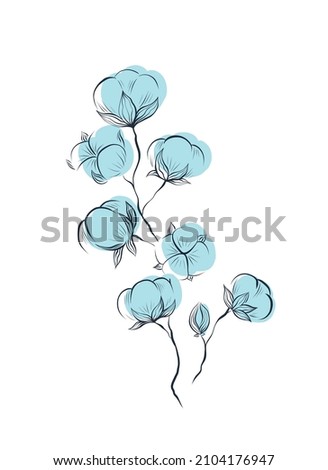 Delicate natural sketches of blue cotton plant and stems with foliage isolated from background. Vector gentle herbal clipart with stems and fluffy balls Photo stock © 