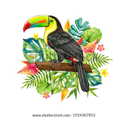 Watercolor toucan on a branch in tropical leaves. Tropical bird. Watercolor botanical hand drawn illustration. Exotic plants