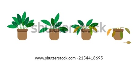 Growing phase flowerpot in flat style. Gardening concept. Vector illustration. Stock image.
