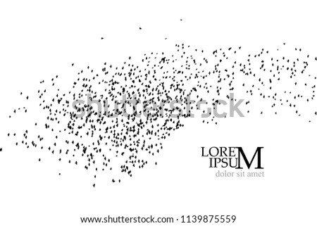 Silhouette of a flock of birds. Vector