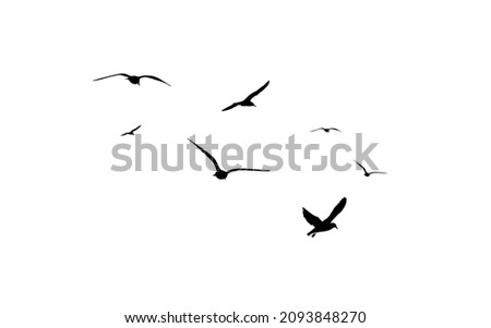 A flock of flying birds. Free birds. Flying seagulls. Vector illustration