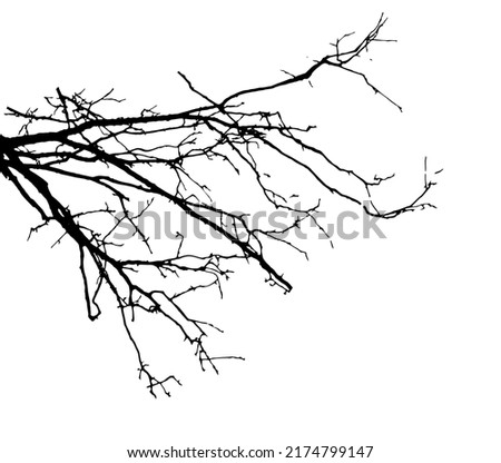 Bare Trees Clipart | Free download on ClipArtMag