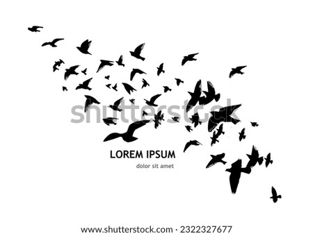 Similar – Image, Stock Photo Flock of starlings and a lone swallow foraging in front of a row of green maple trees, a cornstalk and cloudy skies