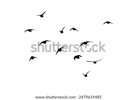 Flying birds silhouette flock. hand drawing. Not AI, Vector illustration.