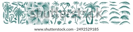 Similar – Image, Stock Photo palm palms Palm frond