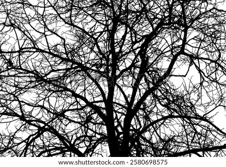 Similar – Image, Stock Photo Tree circuit Sky Branch