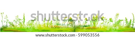 Similar – Image, Stock Photo Summer meadow grasses