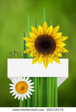 Flower bacgkround with ribbon, daisy and sunflower with empty space for text