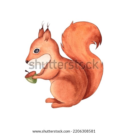 Watercolor squirrel. Hand drawn illustration, isolated on white background