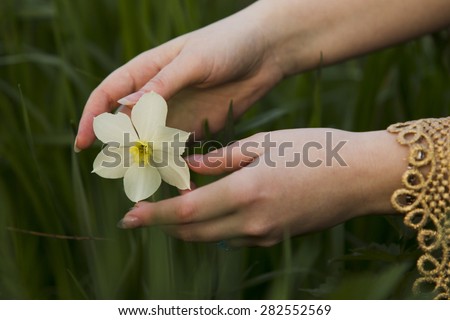Narcissus flower ring female hand spring evening.