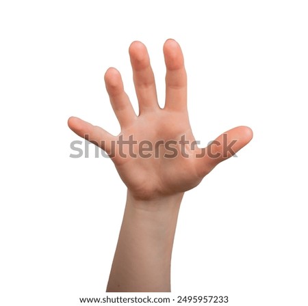 Similar – Image, Stock Photo Hand reaches forward to light from first person perspective