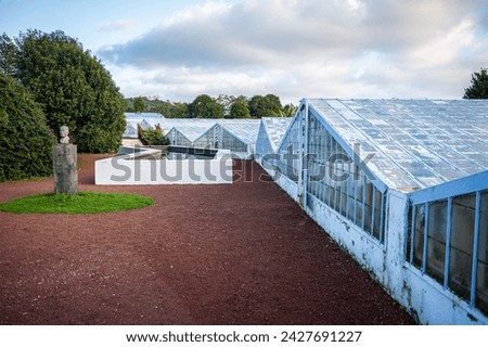 Similar – Image, Stock Photo Pineapples on a plantation with orange backlight, El Hierro, Canary Islands, Spain