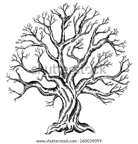 Wedding Tree Drawing | Free download on ClipArtMag