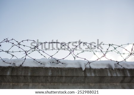 Prickly wire fence at the prison. Winter and snow