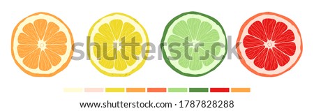 Set of citrus slices of lime, orange, grapefruit and lemon. Vector stock illustration. Textured effect on the skin. The style is hand-drawn and cartoonish. All objects are isolated.