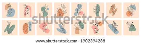 Set of Various Leaves and Flowers, abstract shapes. Round elements, abstract shapes, lines, floral. Minimalistic style. Vector stock illustration. Line art. Contemporary Hand drawn illustrations. Photo stock © 