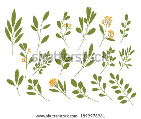 Set of vector branches with leaves on a white background. Floral elements (leaves, branches, hearts). Botanical illustrations. Green twigs with hearts and berries. Spring set of leaves.