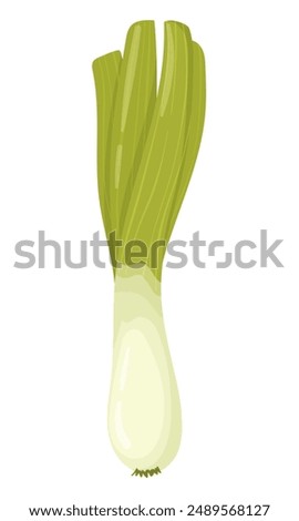 Leek vegetable in cartoon style. Fresh leek element isolated on white background for farm market design. Organic healthy food clipart. Vector illustration