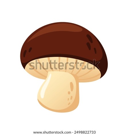 Boletus mushroom. Vector champignon mushroom on a white background. Vector illustration of brown mushroom