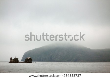 island with sea bears, Japanese sea, Vladivostok, Russia