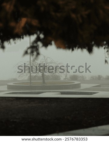 Similar – Image, Stock Photo melancholy Foggy landscape