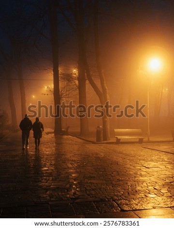 Similar – Image, Stock Photo melancholy Foggy landscape