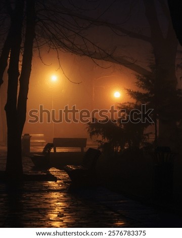 Similar – Image, Stock Photo melancholy Foggy landscape