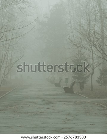 Similar – Image, Stock Photo melancholy Foggy landscape