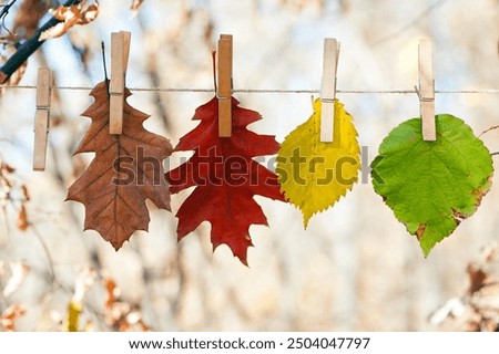 Image, Stock Photo autumn rope Environment