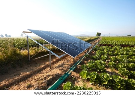 Similar – Image, Stock Photo Irrigation for lettuce cultivation