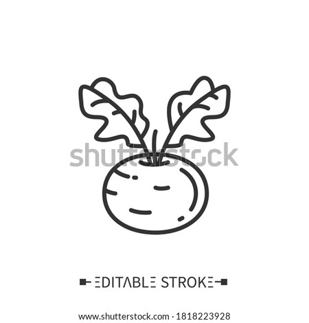  Kohlrabi line icon. Superfood. Organic healthy energetic food for balanced nutrition. Detox and weight loss supplements. Vegetarian food. Isolated vector illustration. Editable stroke. 